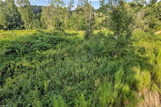 Lot 24 Regal Oaks Dr, Wilkesboro, NC 28697