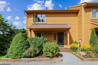 258 Deerfield Village, Davis, WV 26260