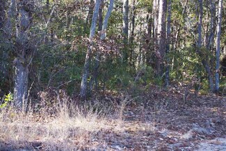 184 & 0 Michael St, Jarvisburg, NC 27947