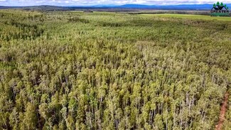 NHN Triple h Rd, Delta Junction, AK 99737