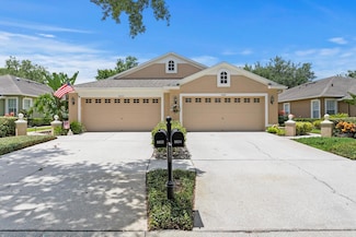 8624 Snowy Owl Way, Tampa, FL 33647