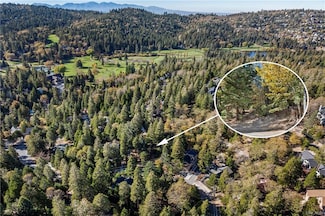 0 Pioneer Rd Unit 32502618, Lake Arrowhead, CA 92352