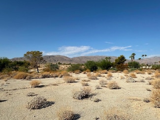 0 Roadrunner Dr S Unit NDP2408923, Borrego Springs, CA 92004