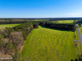 0020 Stump Bridge Rd, Canton, MS 39046
