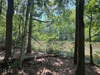 Lot 2 Cardinal Dr, Trenton, SC 29847