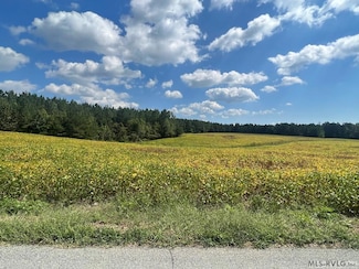 0 Daniels Rd, Boydton, VA 23917