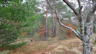 Lot 7 Bonter Ct, Benton Township, MI 49721