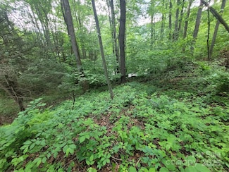 00 Serendipity Ln Unit 111, Waynesville, NC 28785