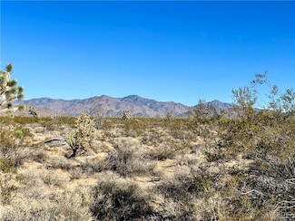 540 S Wild Bill Rd, Yucca, AZ 86438