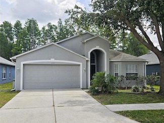 3220 Clover Blossom Cir, Land O Lakes, FL 34638