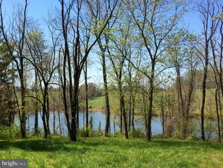 21375 Beaverdam Bridge Rd, Middleburg, VA 20117