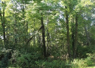 Lot 53 3rd Ave, Oxford, WI 53952