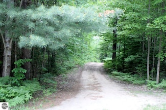 1016 Woodchuck Dr, Chestonia Township, MI 49659