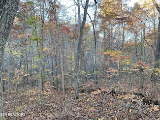 0 Cumberland View Dr Unit 1321574, Crossville, TN 38571