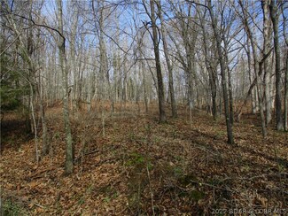 TBD Mini Farm Dr, Gravois Mills, MO 65037