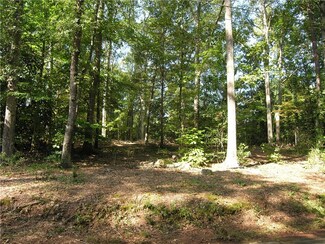 Lot 20 Hunnicutt Ln, Clemson, SC 29631