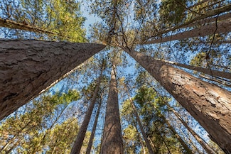 Lot 18 The Point Rd W, Nokomis, WI 54487