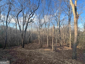 LOT 57 Teel Mtn Dr, Cleveland, GA 30528