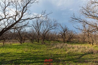 TBD Cr 195, Anson, TX 79501