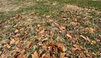 2314 W 2nd ( 7 Lots ) St, Joplin, MO 64801