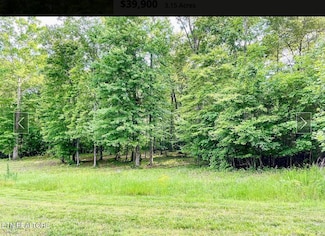 109 W Mountain Dr, Rockwood, TN 37854