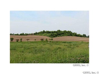 34 Hidden Greens Rd, Brutus, NY 13166