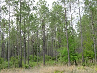 0 Florida 24 Unit 20170868, Otter Creek, FL 32621