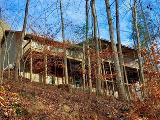 65 Dogwood Ln, Ellijay, GA 30540