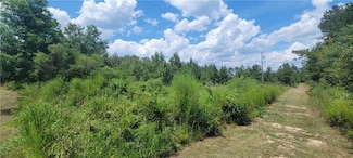 TBD Lot 7 Whitpalm Dr, Independence, LA 70443