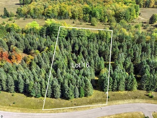 Lot 16 Lipp Farm Rd, Benzonia Township, MI 49616