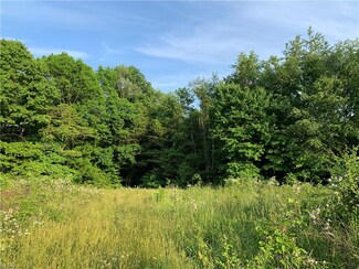 0 Township Road 180, New Bedford, OH 43824