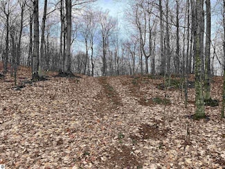 Lot 15 S Mistys Trail, Empire Township, MI 49630