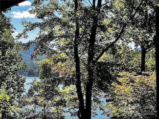 302 Ridge Rd, Lake Lure, NC 28746