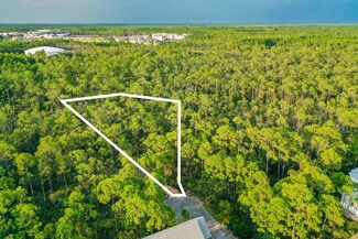 Lot 46 Sweetgum Loop, Rosemary Beach, FL 32413