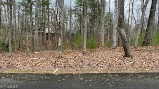Lot 33 Reserve Trail, Stuart, VA 24171