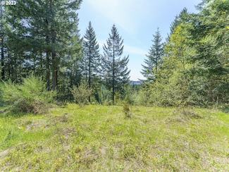 25308 NW Mountain Dr, Banks, OR 97106