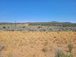 NYA Road 4056, Navajo Dam, NM 87419
