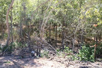 103 Kikipua, Bastrop, TX 78602