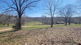 490-00001-008 Fox Chase Dr, Flippin, AR 72634