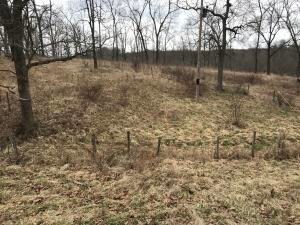 16623 State Highway Yy, Macomb, MO 65702