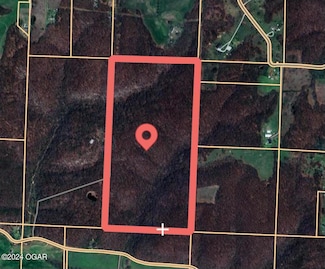 Tbd Beamon Hollow Rd, Goodman, MO 64843