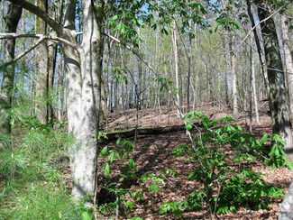 000 Gardner Rd NW, Willis, VA 24380
