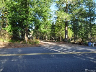 0 NE Dole Valley Rd Unit 1233697, Yacolt, WA 98675