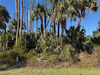 17360 Inglewood Ave, Port Charlotte, FL 33954