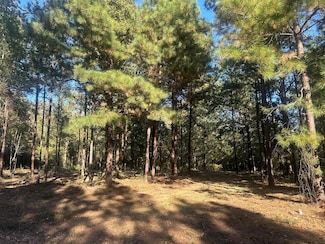 R153527 Thigpen Rd, Pollok, TX 75969