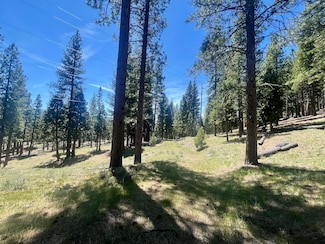 69867 Woodside Dr, Blairsden, CA 96103