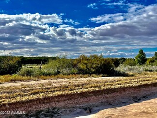 100 Rattlesnake Rd, La Mesa, NM 88044