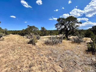 0 Los Vaqueros Cir Unit REC4627055, Walsenburg, CO 81089