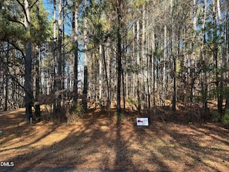 6682 Goose Point Dr, Denver, NC 28037