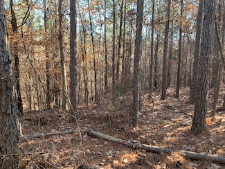11 Warren Floyd Rd, Selmer, TN 38375